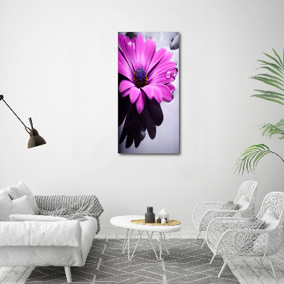 Tableau sur toile Gerbera rose