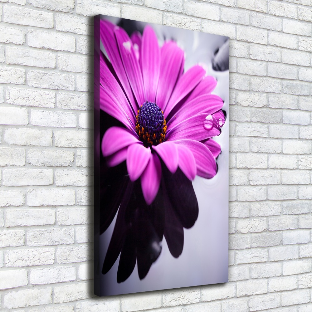 Tableau sur toile Gerbera rose