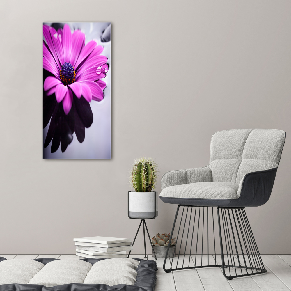 Tableau sur toile Gerbera rose