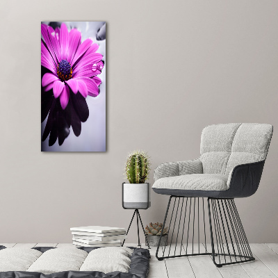 Tableau sur toile Gerbera rose