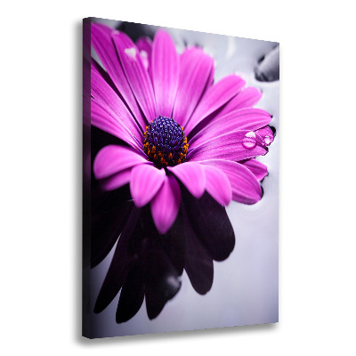 Tableau sur toile Gerbera rose