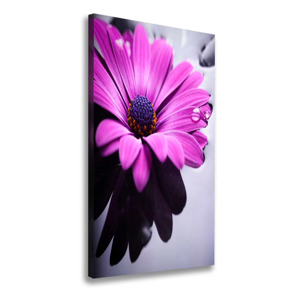 Tableau sur toile Gerbera rose