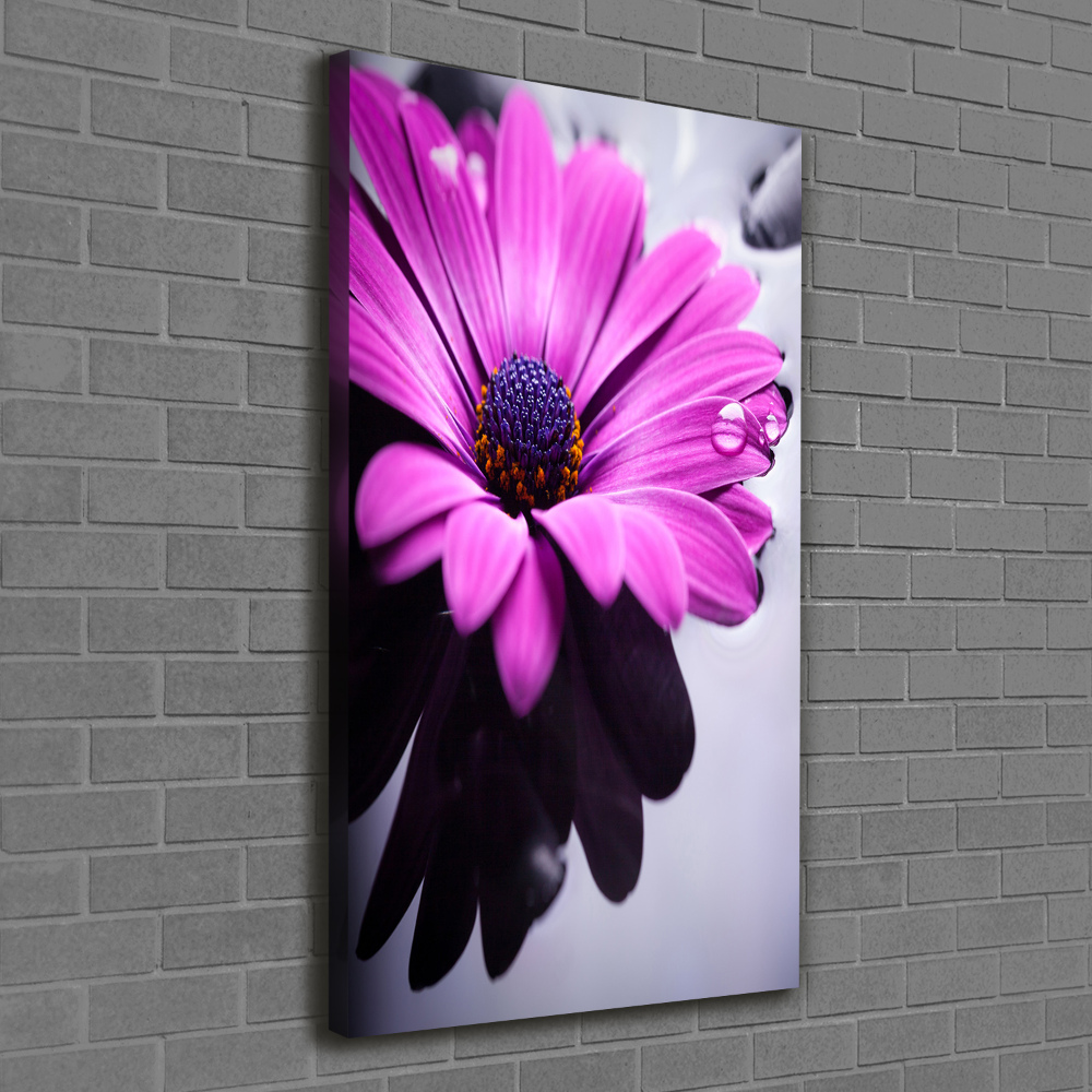 Tableau sur toile Gerbera rose