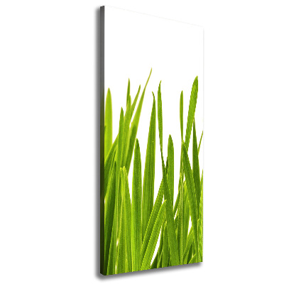 Tableau photo sur toile Herbe verte