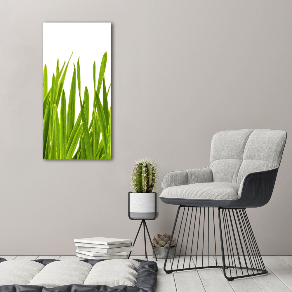 Tableau photo sur toile Herbe verte