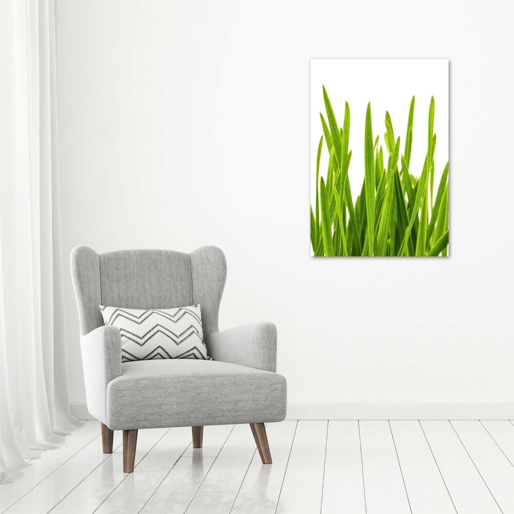 Tableau photo sur toile Herbe verte