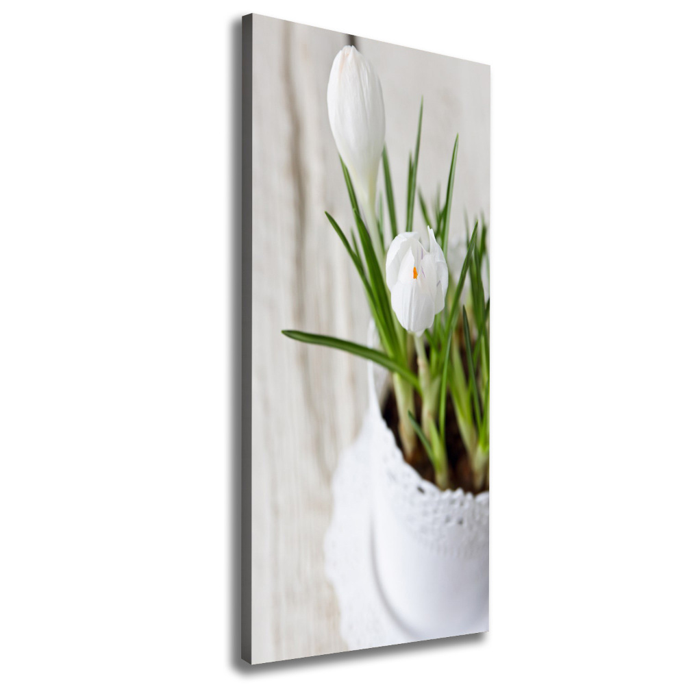 Tableau sur toile Crocus blancs