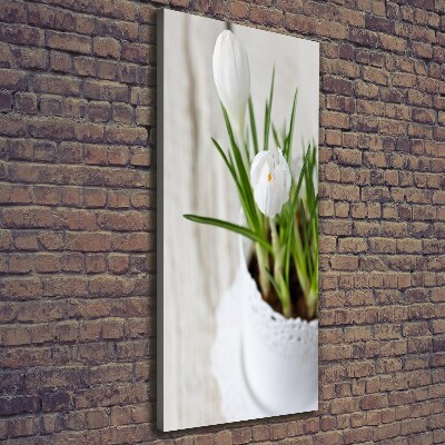 Tableau sur toile Crocus blancs