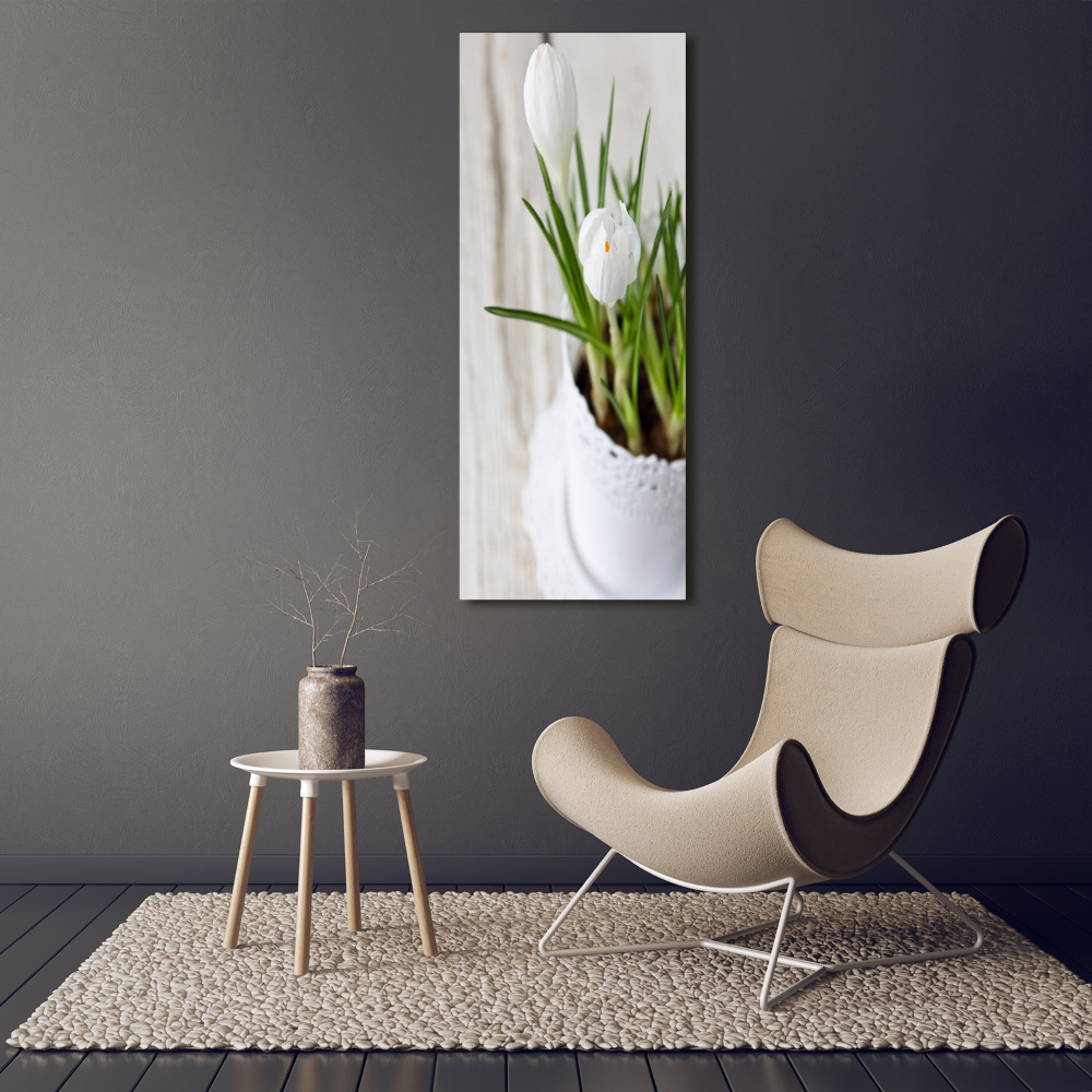 Tableau sur toile Crocus blancs