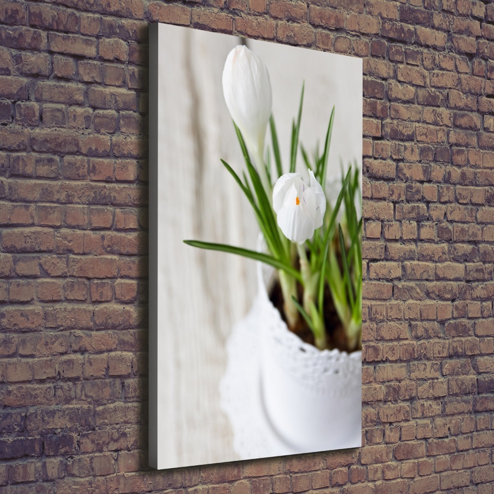 Tableau sur toile Crocus blancs