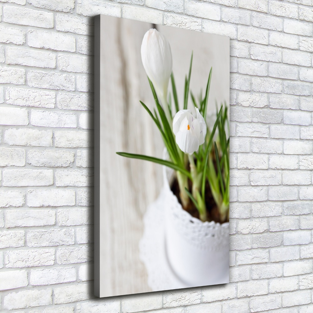 Tableau sur toile Crocus blancs