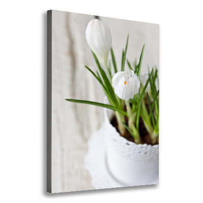 Tableau sur toile Crocus blancs