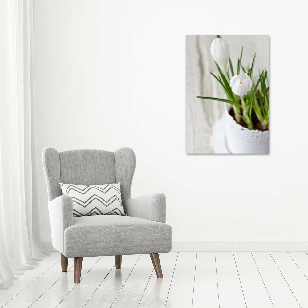 Tableau sur toile Crocus blancs