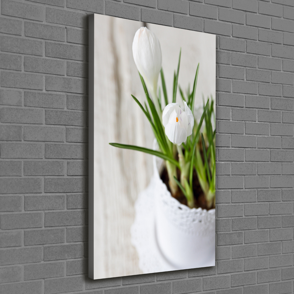 Tableau sur toile Crocus blancs