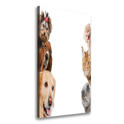 Tableau sur toile Chiens et chats