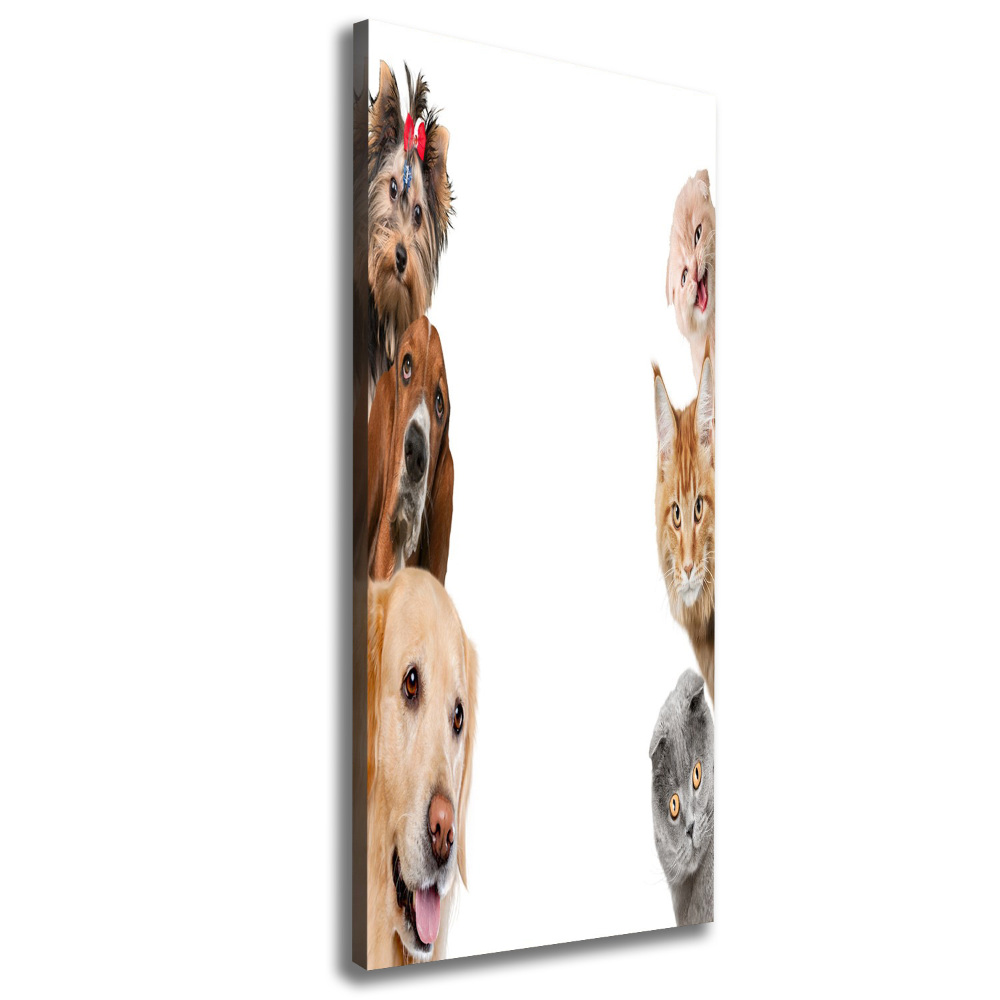 Tableau sur toile Chiens et chats