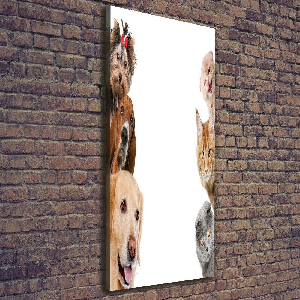 Tableau sur toile Chiens et chats