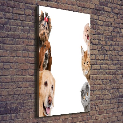 Tableau sur toile Chiens et chats