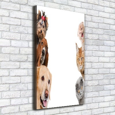 Tableau sur toile Chiens et chats