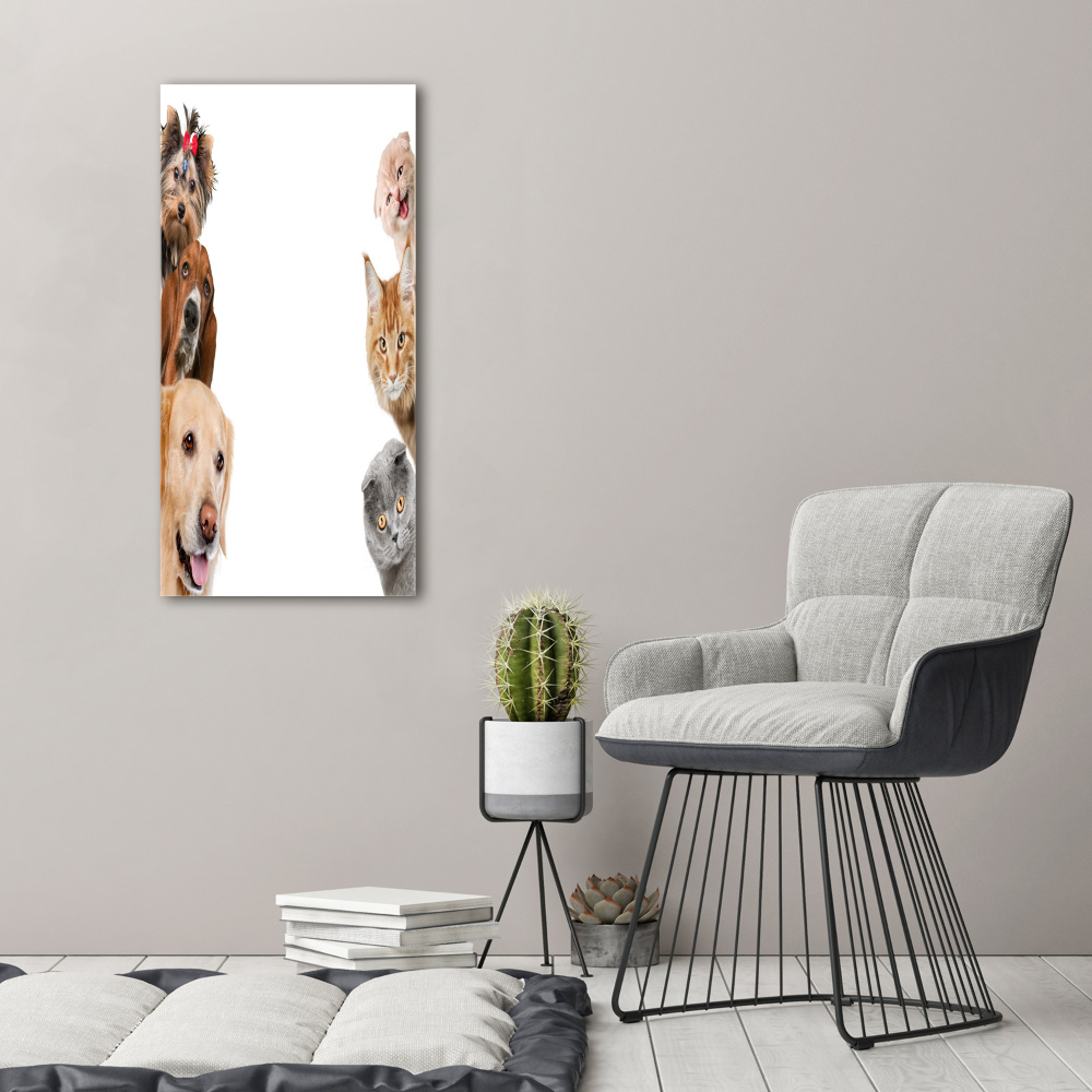 Tableau sur toile Chiens et chats