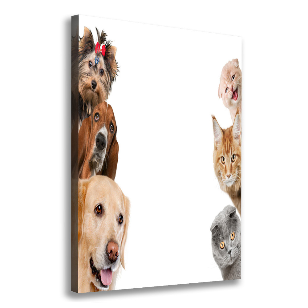 Tableau sur toile Chiens et chats