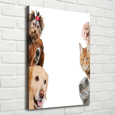 Tableau sur toile Chiens et chats