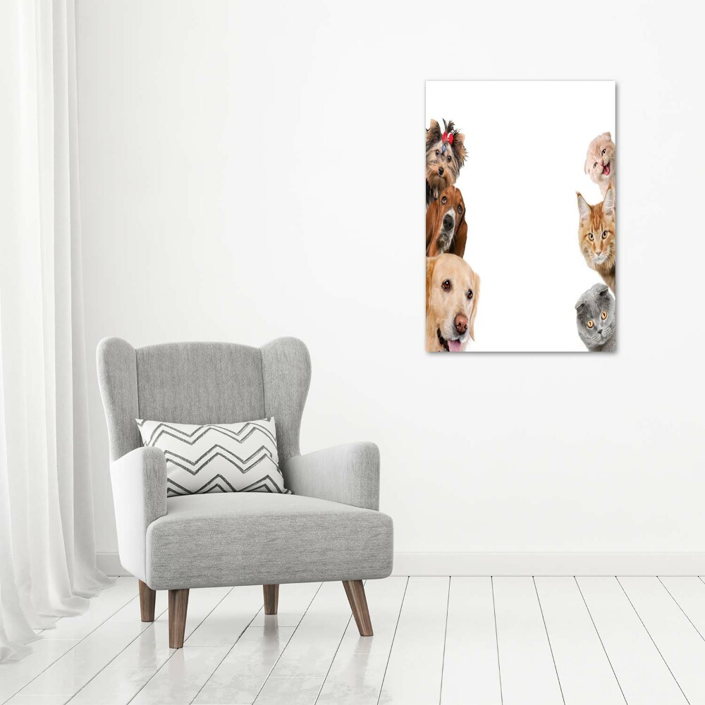 Tableau sur toile Chiens et chats