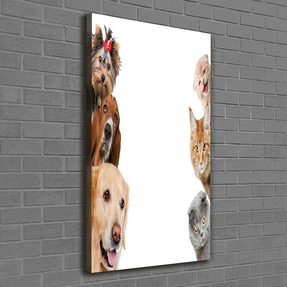 Tableau sur toile Chiens et chats