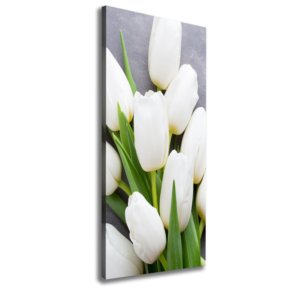 Tableau mural sur toile Tulipes blanches plantes