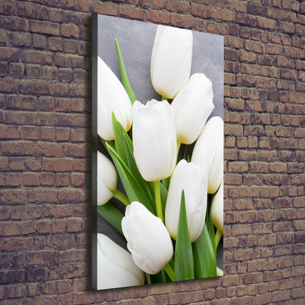 Tableau mural sur toile Tulipes blanches plantes