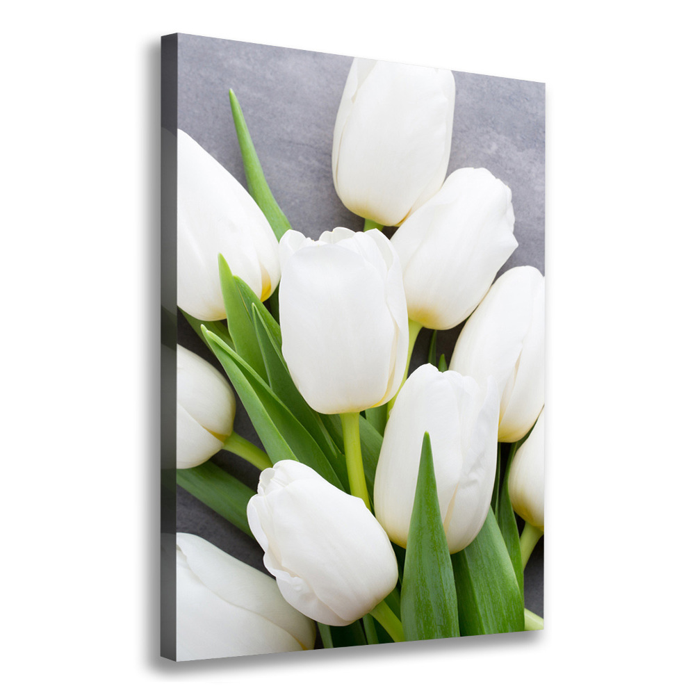 Tableau mural sur toile Tulipes blanches plantes