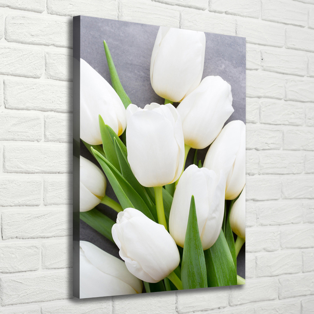 Tableau mural sur toile Tulipes blanches plantes