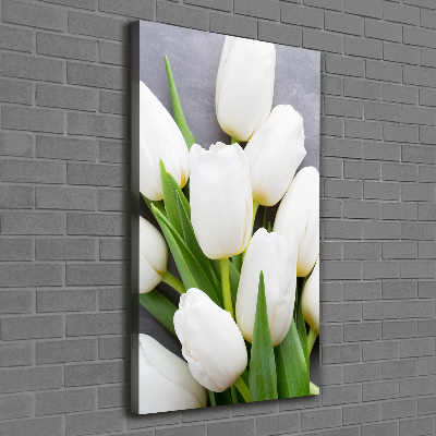 Tableau mural sur toile Tulipes blanches plantes