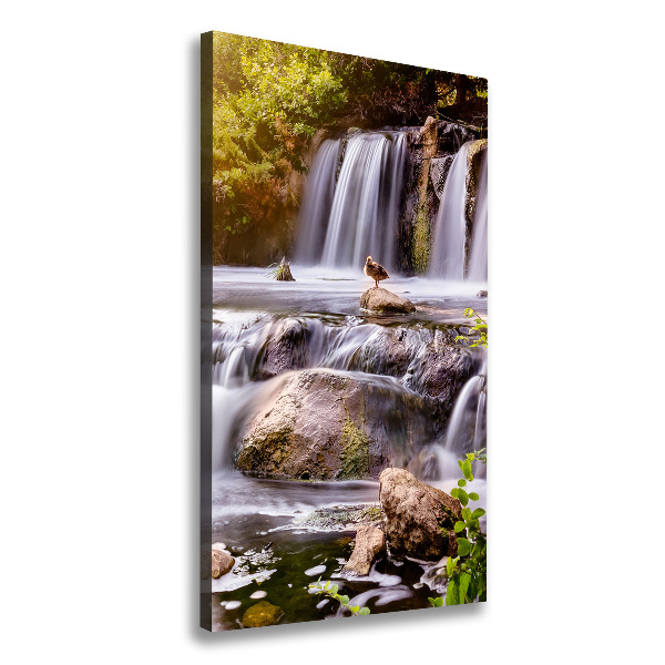 Cascade