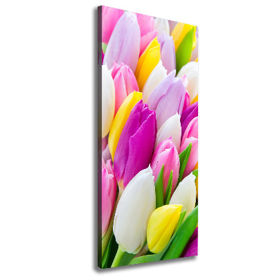 Tableau imprimé sur toile Tulipes colorées