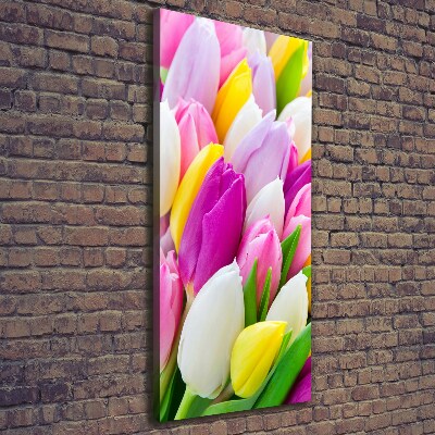 Tableau imprimé sur toile Tulipes colorées