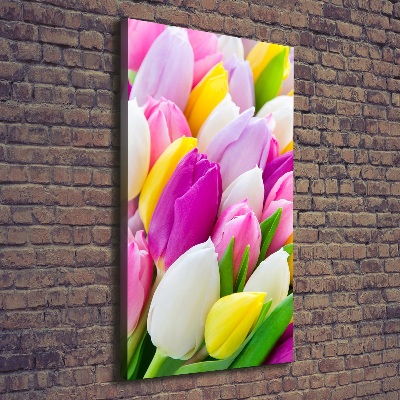 Tableau imprimé sur toile Tulipes colorées