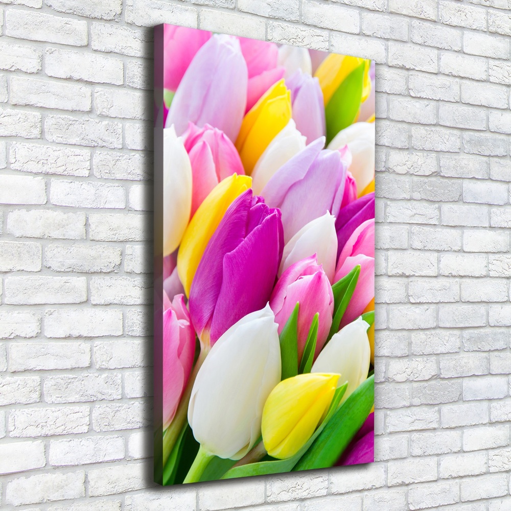 Tableau imprimé sur toile Tulipes colorées