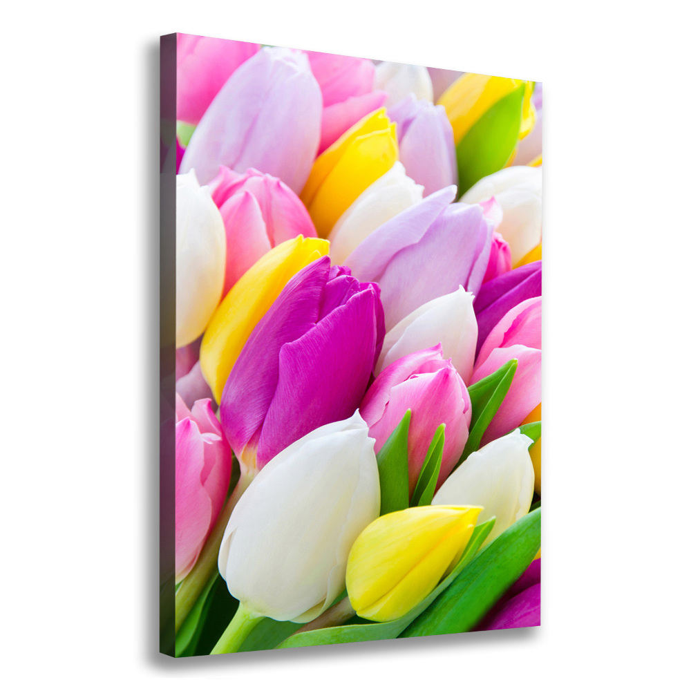 Tableau imprimé sur toile Tulipes colorées