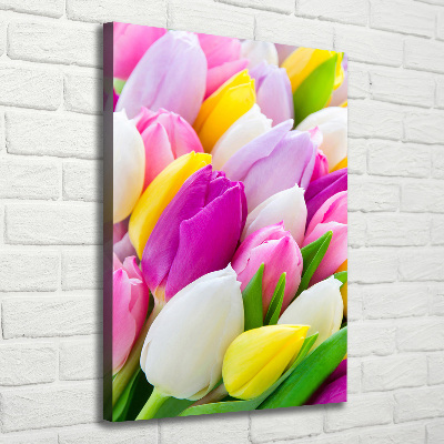 Tableau imprimé sur toile Tulipes colorées