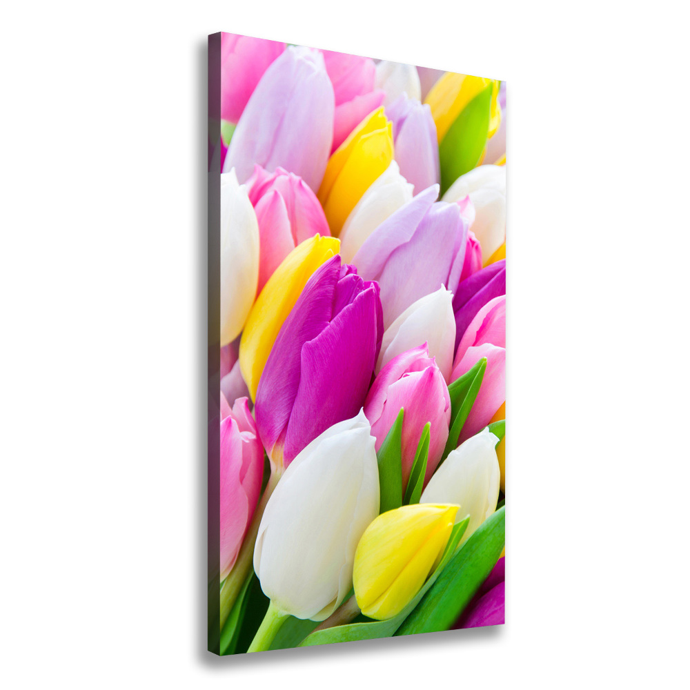 Tableau imprimé sur toile Tulipes colorées