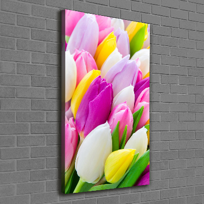 Tableau imprimé sur toile Tulipes colorées