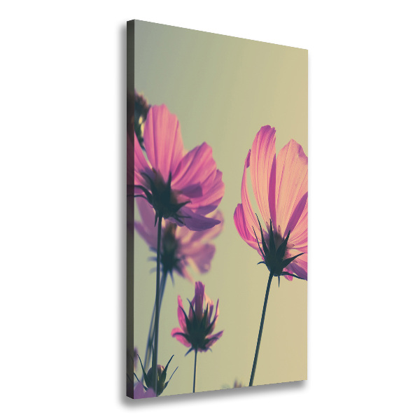 Fleurs roses