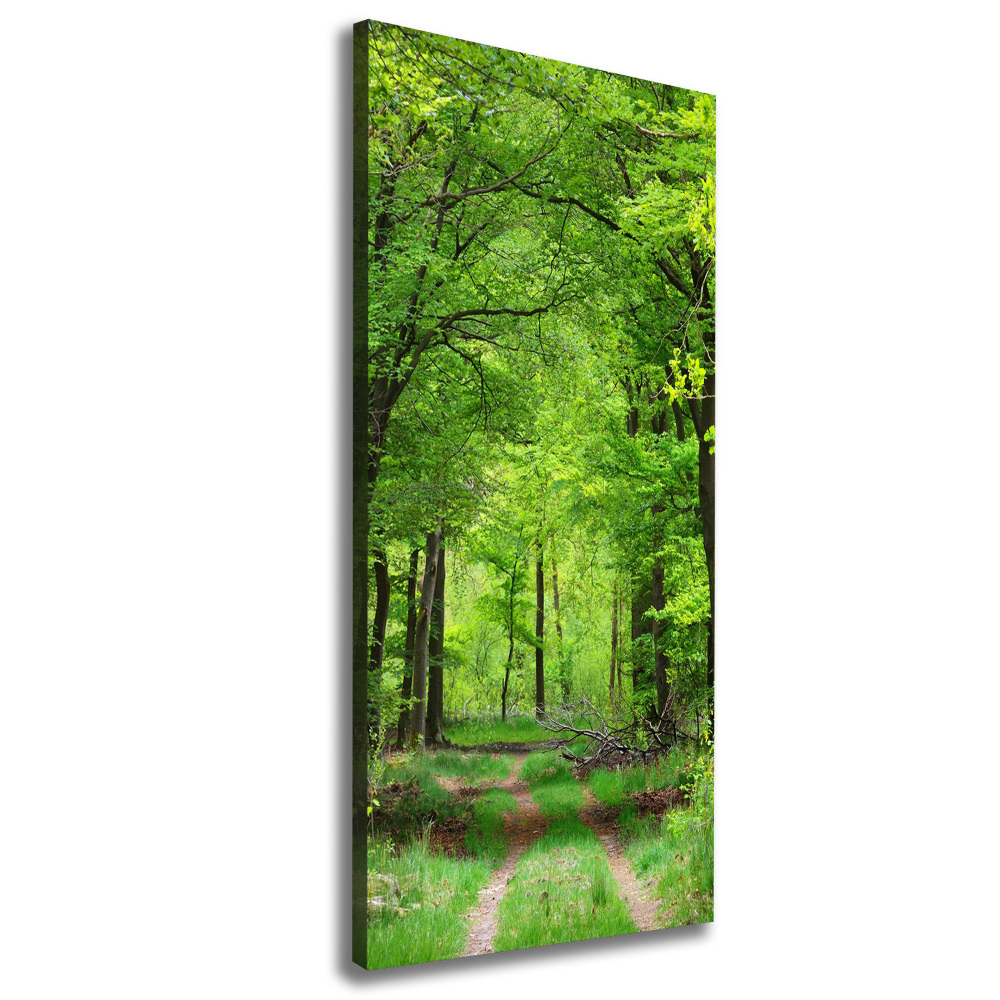 Tableau toile imprimée Forêt verte