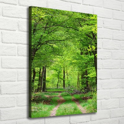 Tableau toile imprimée Forêt verte