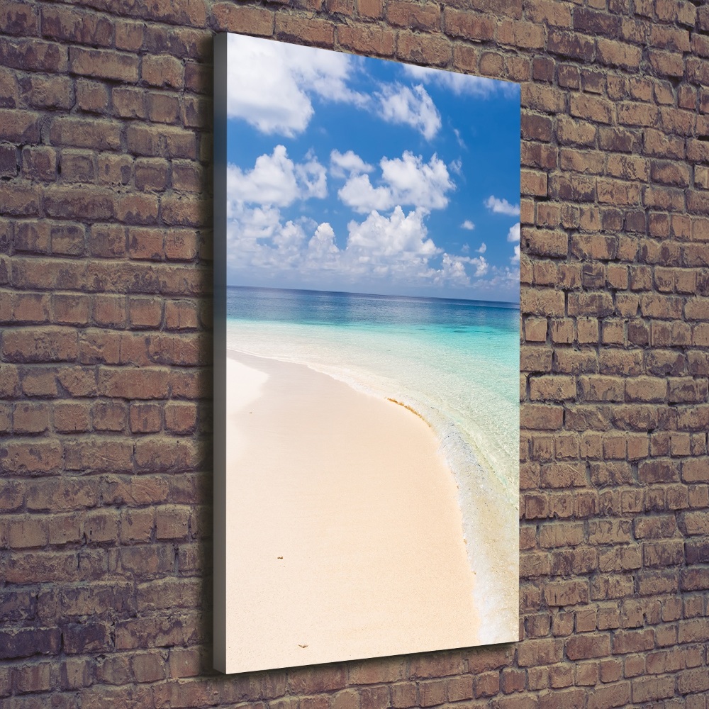 Tableau mural sur toile Plage Maldives