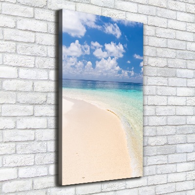 Tableau mural sur toile Plage Maldives