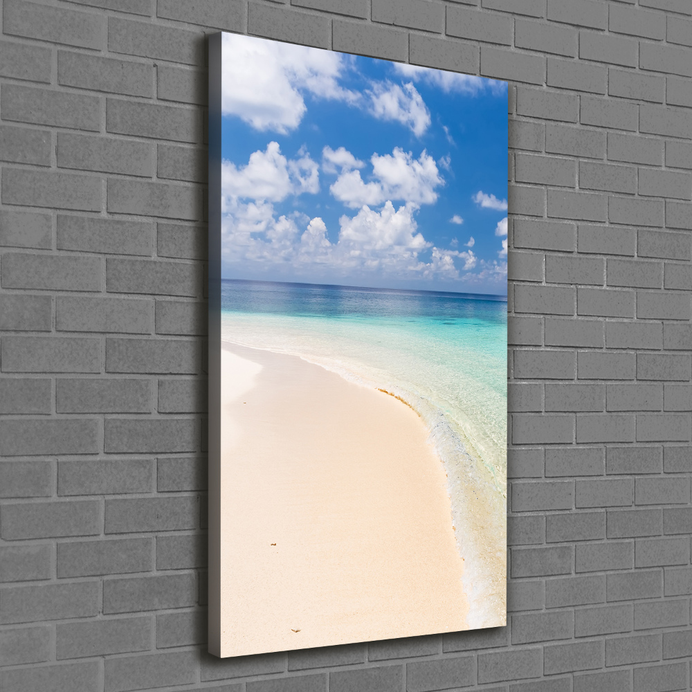 Tableau mural sur toile Plage Maldives