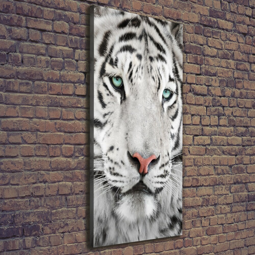 Tableau photo sur toile Tigre blanc