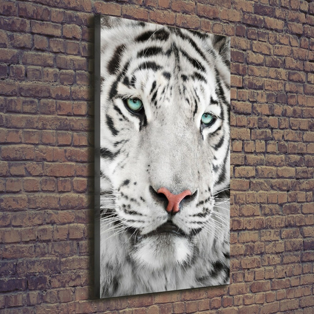 Tableau photo sur toile Tigre blanc